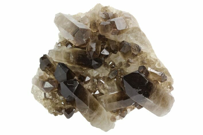 Dark Smoky Quartz Crystal Cluster - Brazil #124572